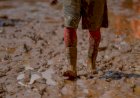 Chuva causa ao menos 18 mortes, deslizamento e alagamento em São Paulo