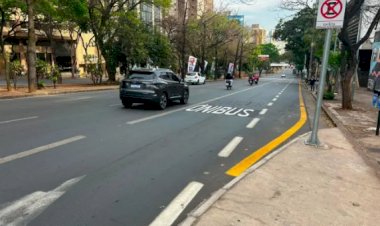 Avenida Afonso Pena, em BH, ganha nova faixa exclusiva para ônibus; saiba onde fica
