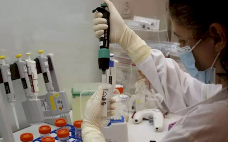 Coronavírus: Minas Gerais registra mais de 5 mil casos e 248 mortes em 24 horas