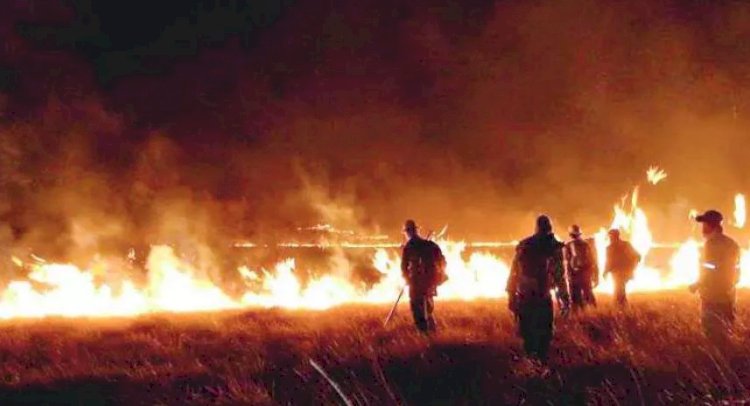 Chapada dos Veadeiros Tem 10º dia de incêndios; fogo avança 12% no Cerrado