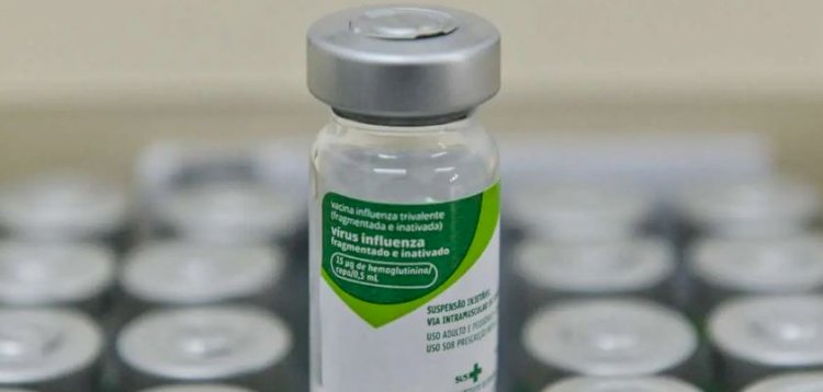 Baixa cobertura vacinal aumenta risco de surtos de doenças como gripe neste ano