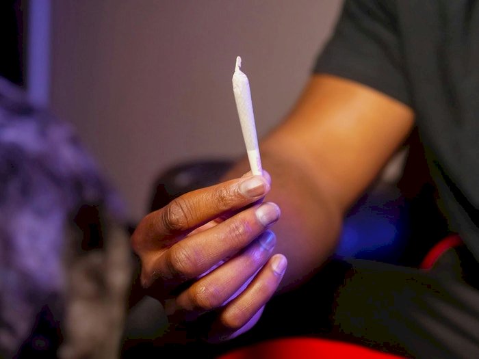 Após descriminalização da maconha, CNJ prepara mutirão para libertar presos por portar 40g ou menos
