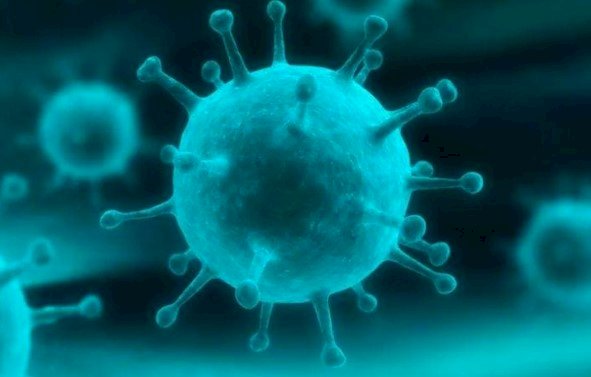 Nova variante do vírus da Covid, XEC é identificada em três estados brasileiros