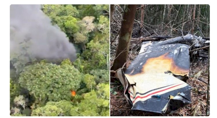 Tiro de detenção’: FAB abate avião que transportava drogas ao