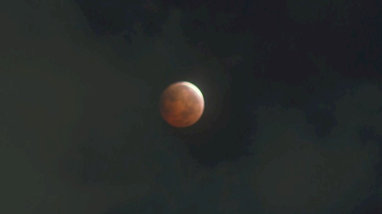 Observação do eclipse total da Lua reuniu entusiastas em Belo Horizonte; veja fotos